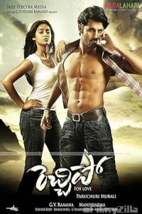 Rechipo (2009) ORG Hindi Dubbed Movie